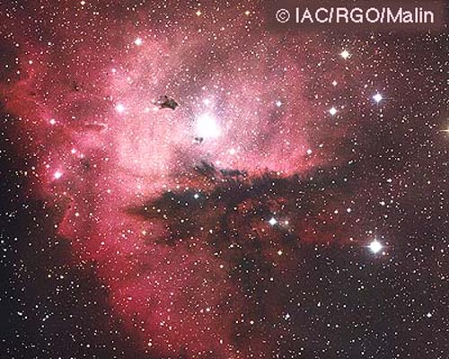 NGC 281: Cúmulos, Nubes, y Glóbulos