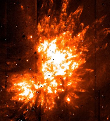 La nebulosa Kleinmann-Low