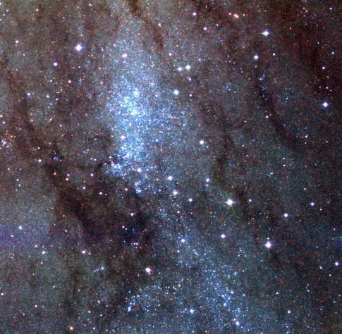 Las estrellas de NGC 206