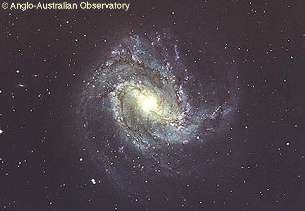 M83: una galaxia espiral barrada
