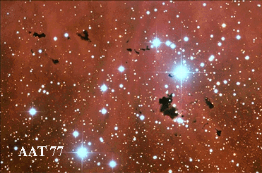 Oscuros Globulos Bok en IC 2944