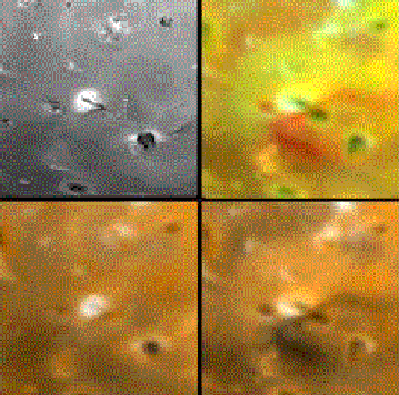 El volcán Euboea Fluctus en Io