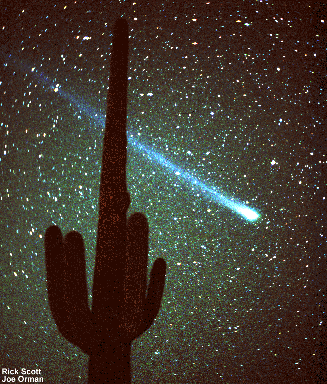 El Cometa Hyakutake y un Cactus