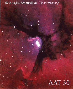 Estrellas calientes en la Nebulosa Trífida